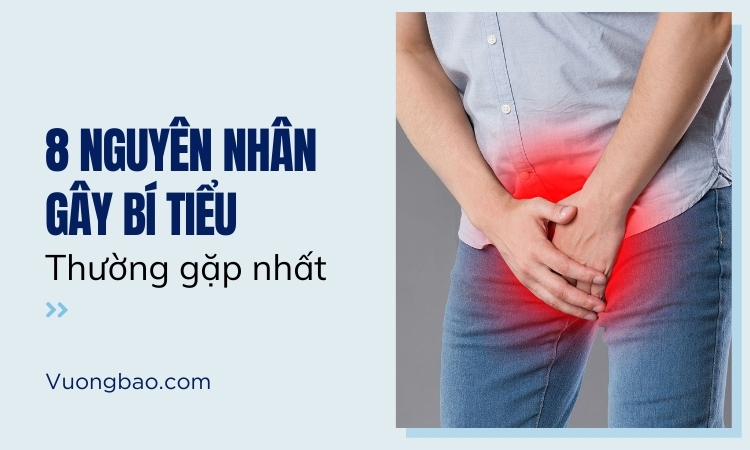 8 Nguyên nhân gây bí tiểu thường gặp nhất