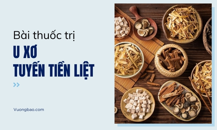 Bài thuốc điều trị u xơ tuyến tiền liệt tổng hợp!