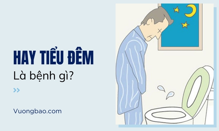 Hay tiểu đêm là bệnh gì? Nguyên nhân và cách điều trị!
