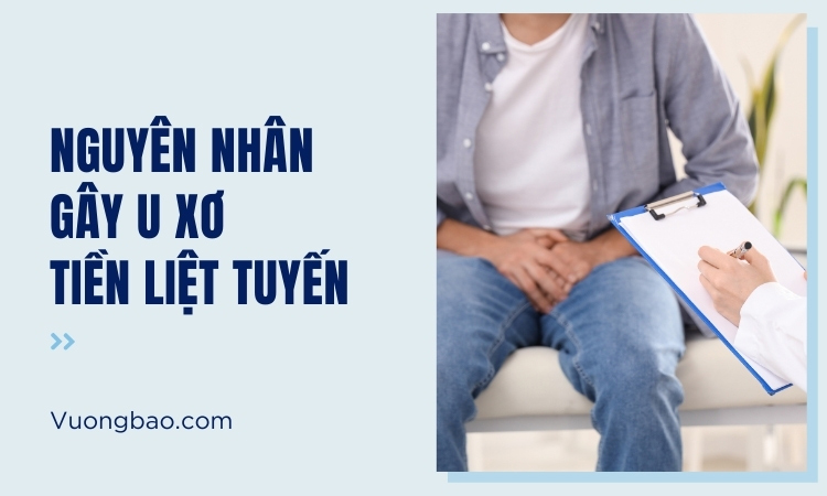 13 Nguyên nhân – yếu tố nguy cơ gây u xơ tuyến tiền liệt!