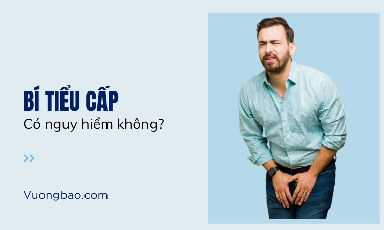 Bí tiểu cấp có nguy hiểm không? Điều trị thế nào?
